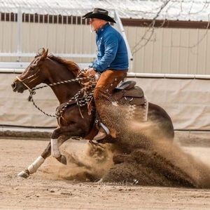 Meet your Posher, Kevin